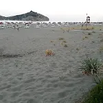 아파트호텔 Dolphin 3*