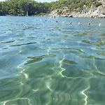 Dolphin 사리게르메