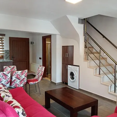 Dolphin Apart Otel 3*