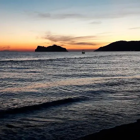 Dolphin 3* Sarigerme